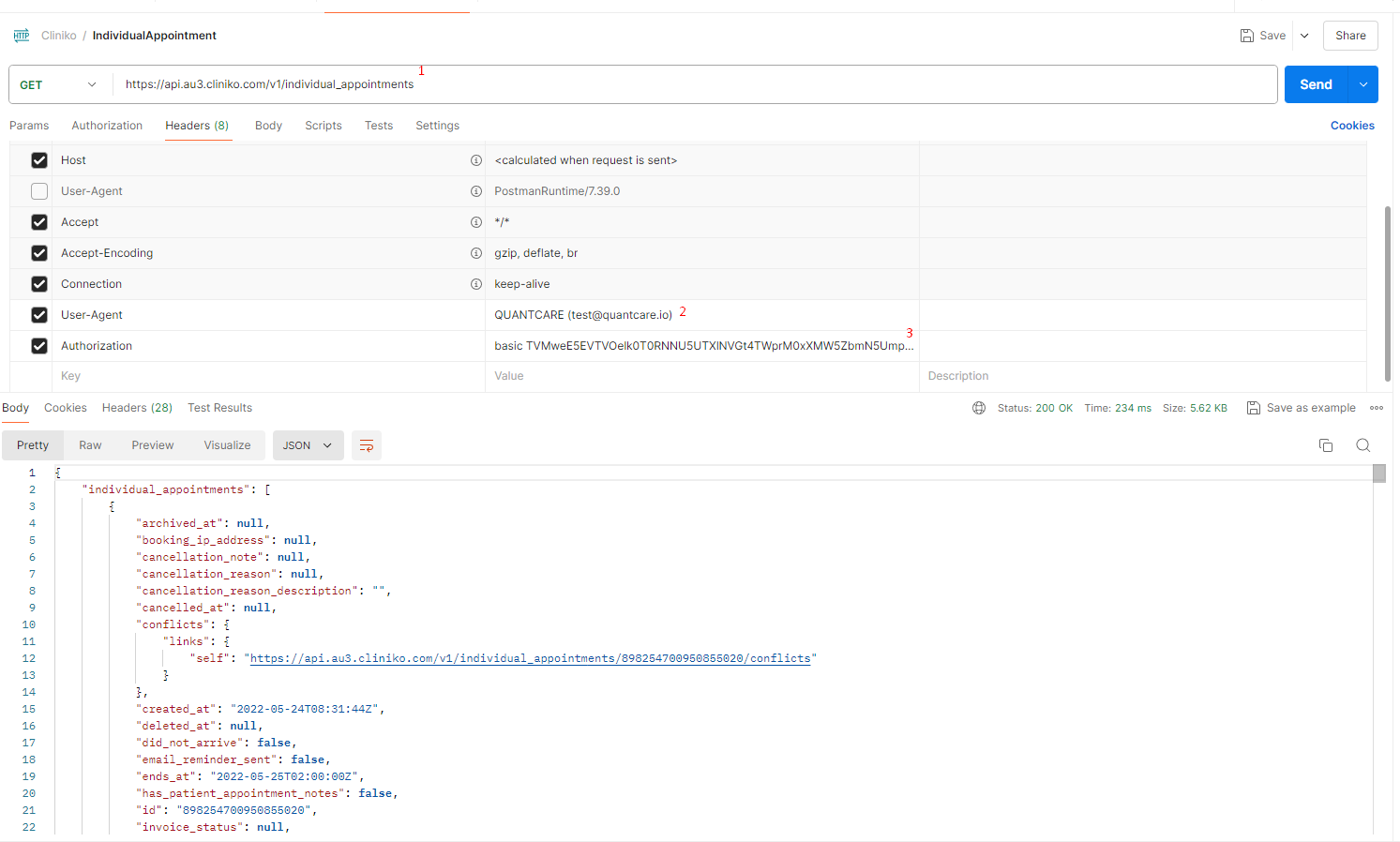 Postman final request structure